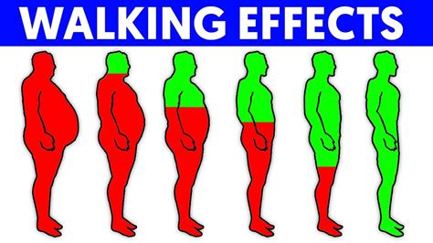 What Happens to Your Body When You Walk 10,000 .